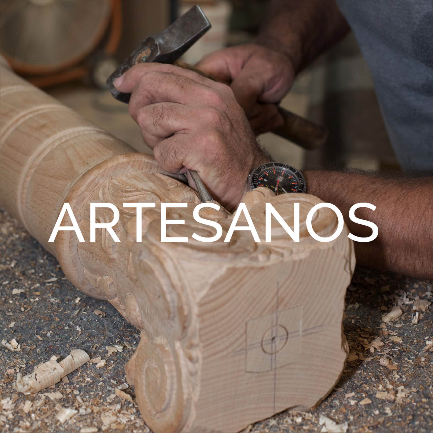 SERVICIOS