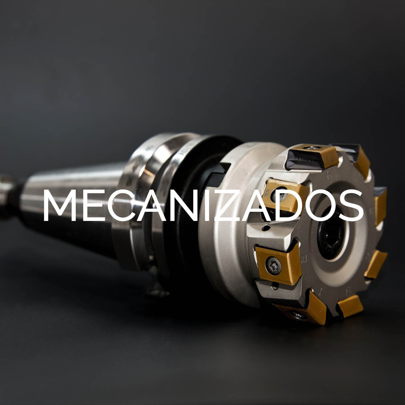 SERVICIOS
